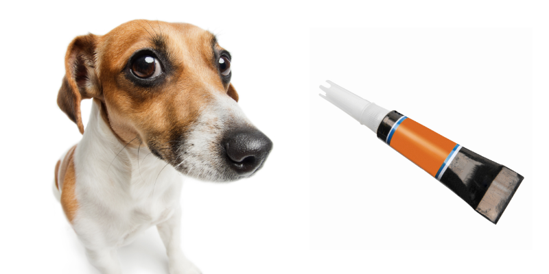 Gorilla Glue, gorilla glue dangers to pets, dangers of ingesting gorilla glue, pet emergency, cyano-bezoars, pet health, Animal Emergency & Referral Center of Minnesota, Twin Cities animal emergency hospital, Saint Paul animal emergency hospital 