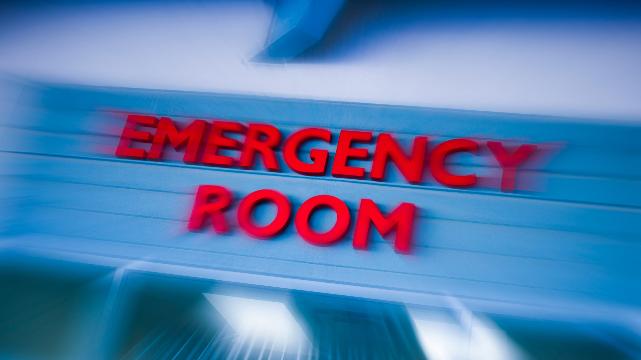 Emergency Prevention: Four Tips to Help Prevent a Pet Emergency