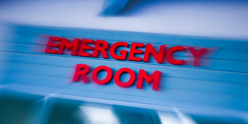 emergency prevention, pet emergency, preventing a pet emergency, pet owners, pet parents, veterinary, veterinary medicine, Animal Emergency & Referral Center of Minnesota, Twin Cities emergency vet, Saint Paul emergency vet, Oakdale emergency vet