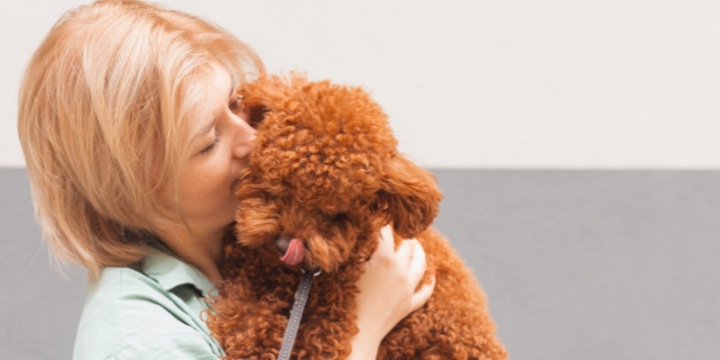 emergency prevention, pet emergency, preventing a pet emergency, pet owners, pet parents, veterinary, veterinary medicine, Animal Emergency & Referral Center of Minnesota, Twin Cities emergency vet, Saint Paul emergency vet, Oakdale emergency vet