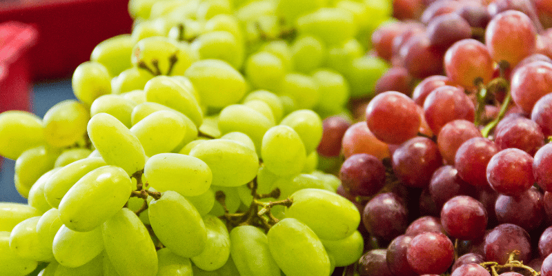 grapes, grape toxicity in dogs, raisins, raisin toxicity in dogs, pet emergency, pet toxins, Animal Emergency & Referral Center of Minnesota