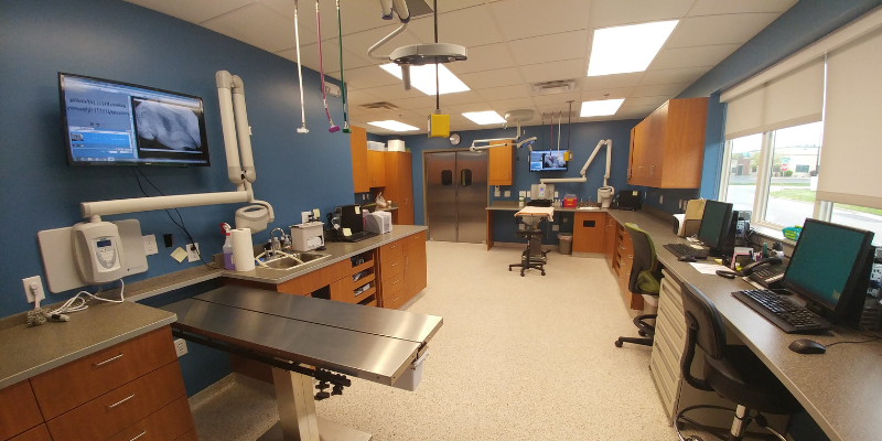 veterinary dentistry, the importance of veterinary dentistry, dentistry anesthesia, anesthesia for pets, veterinary anesthesia, Animal Emergency & Referral Center of Minnesota, Dentistry Service, Twin Cities veterinary dentist, board-certified veterinary dentist, Saint Paul veterinary dentist, Oakdale veterinary dentist