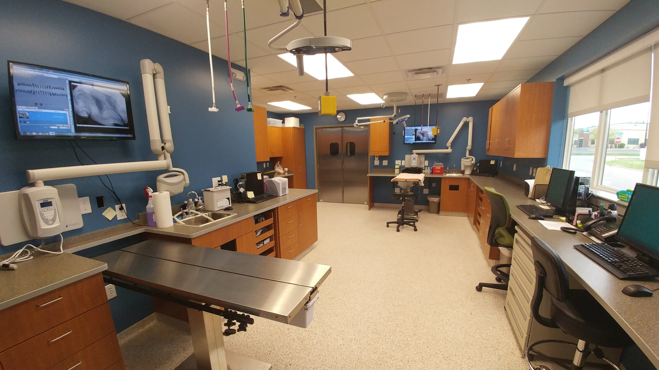 20/20’s Piece on Veterinarians: Dentistry