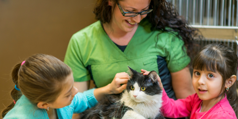 pets, shelter pets, adopt a pet, rescued pets, adopt a new furry friend, Animal Emergency & Referral Center of Minnesota