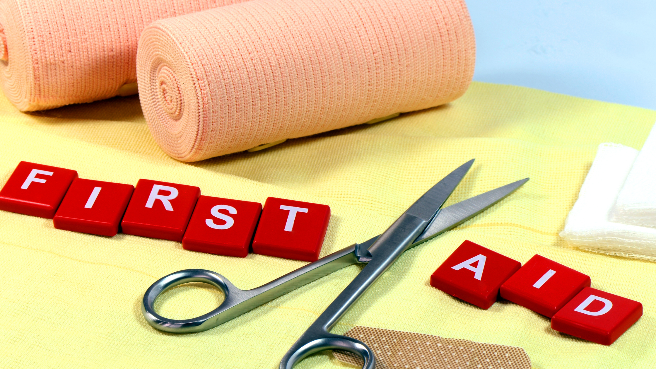 Top 10 Items for a Pet First Aid Kit