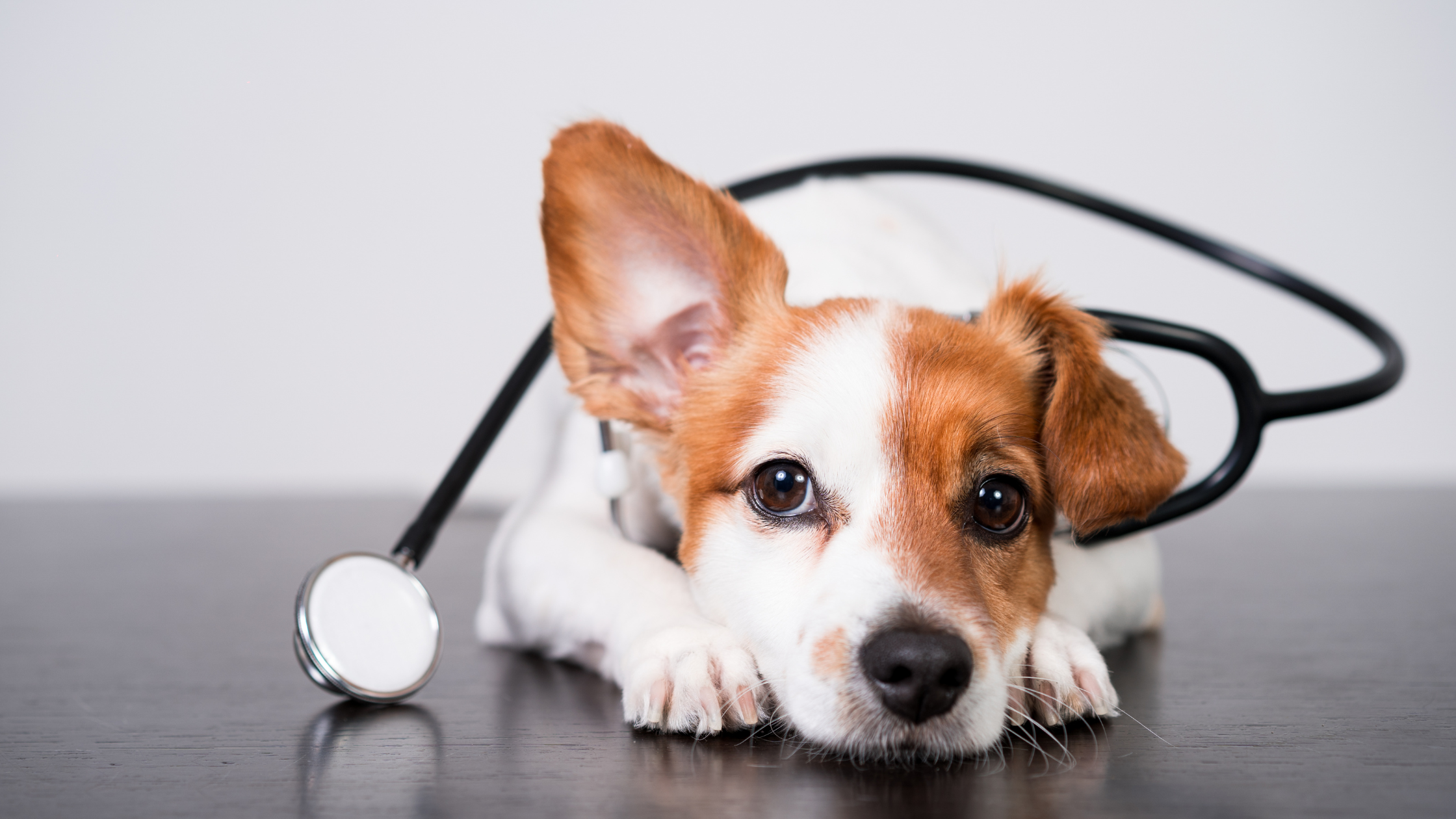 Top 5 Reasons for Emergency Visits