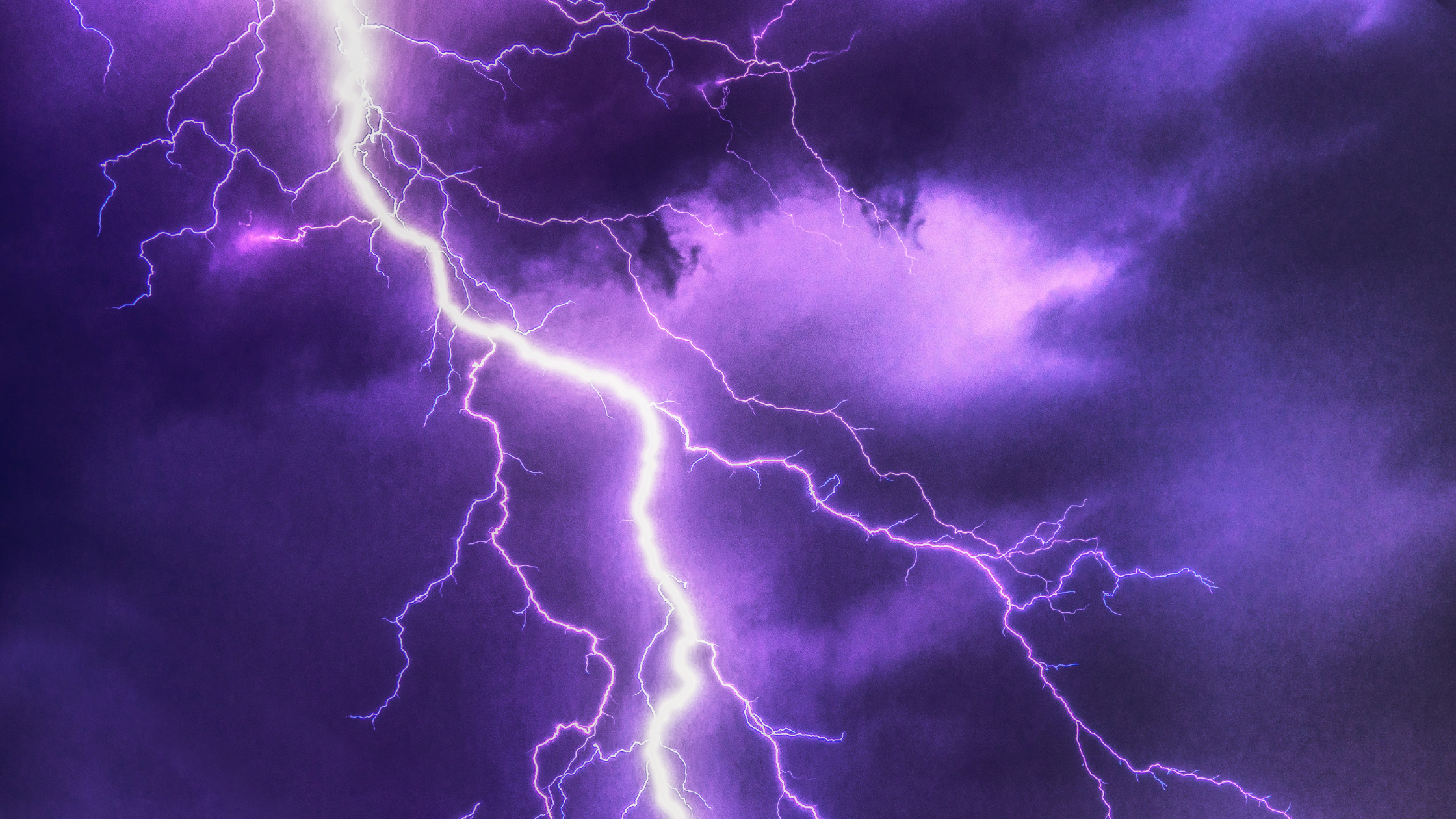 Thunderstorm Anxiety in Dogs