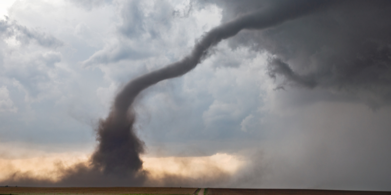 disaster prep for pets, pet preparedness, natural disaster prep, veterinary, pet health, pet safety, Animal Emergency & Referral Center of Minnesota