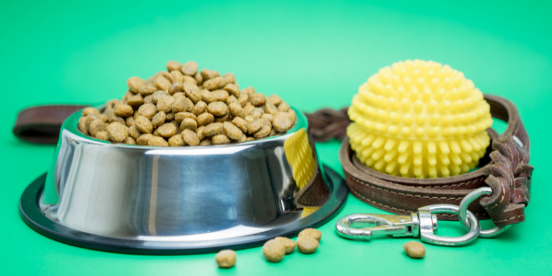 disaster prep for pets, pet preparedness, natural disaster prep, veterinary, pet health, pet safety, Animal Emergency & Referral Center of Minnesota