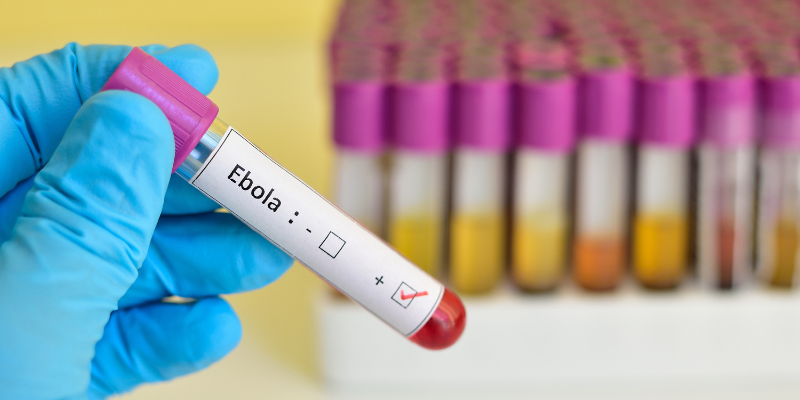 Ebola Virus, pets, pet health, pet safety, Animal Emergency & Referral Center of Minnesota