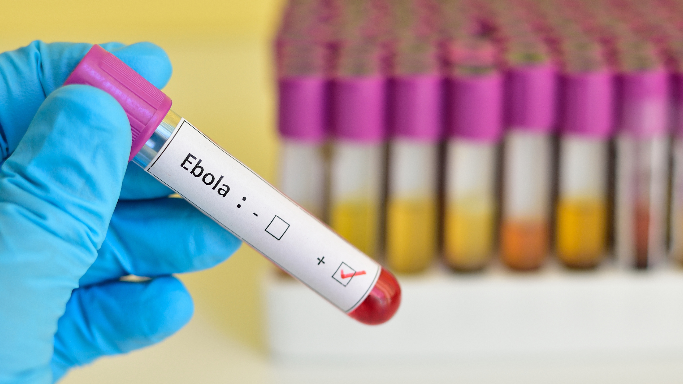 Pets and Ebola Virus