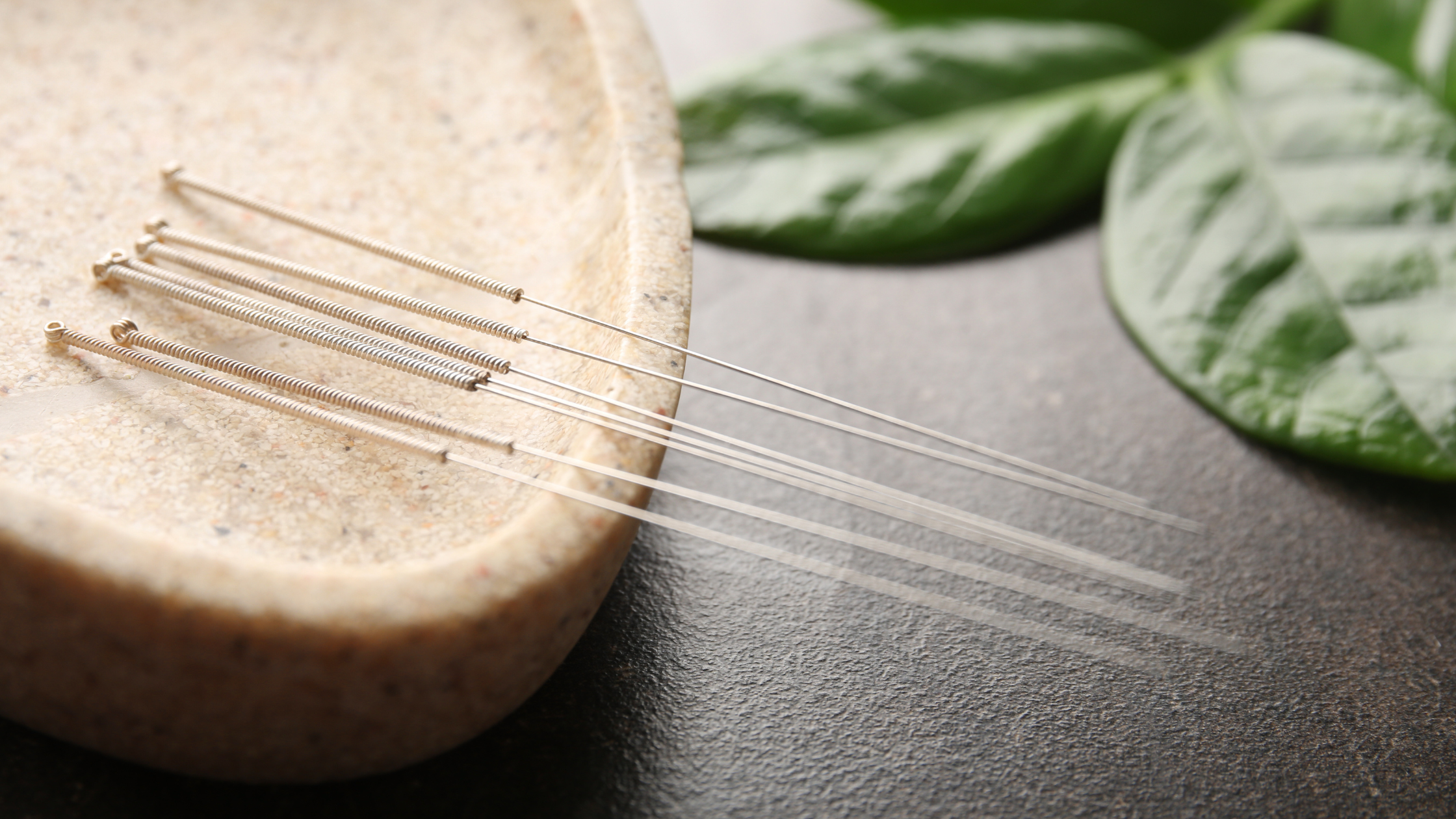 Acupuncture for My Dog?!?!