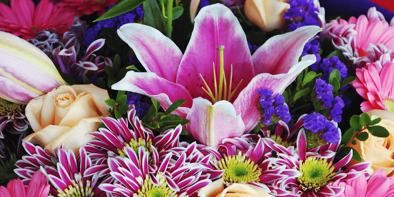 lilies, bouquet, Valentine's Day pet dangers, pet health, pet hazards, pet dangers, pet emergencies, Animal Emergency & Referral Center of Minnesota, Twin Cities emergency vet, Minnesota emergency vet, pet safety tips