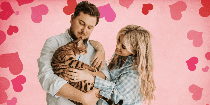 couple, Valentine's Day pet dangers, pet health, pet hazards, pet dangers, pet emergencies, Animal Emergency & Referral Center of Minnesota, Twin Cities emergency vet, Minnesota emergency vet, pet safety tips