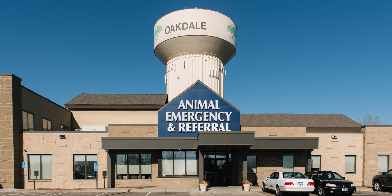 exterior building, Oakdale facility, pet toxins, pet poisons, poison prevention month, pet-proof your home, pet health, pet safety, veterinary emergency, pet emergency, Animal Emergency & Referral Center of Minnesota