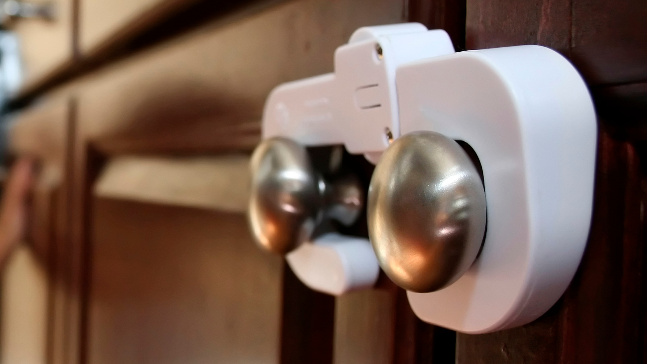 Pet Poison Prevention At Home: Tips to Pet-Proof Your Home