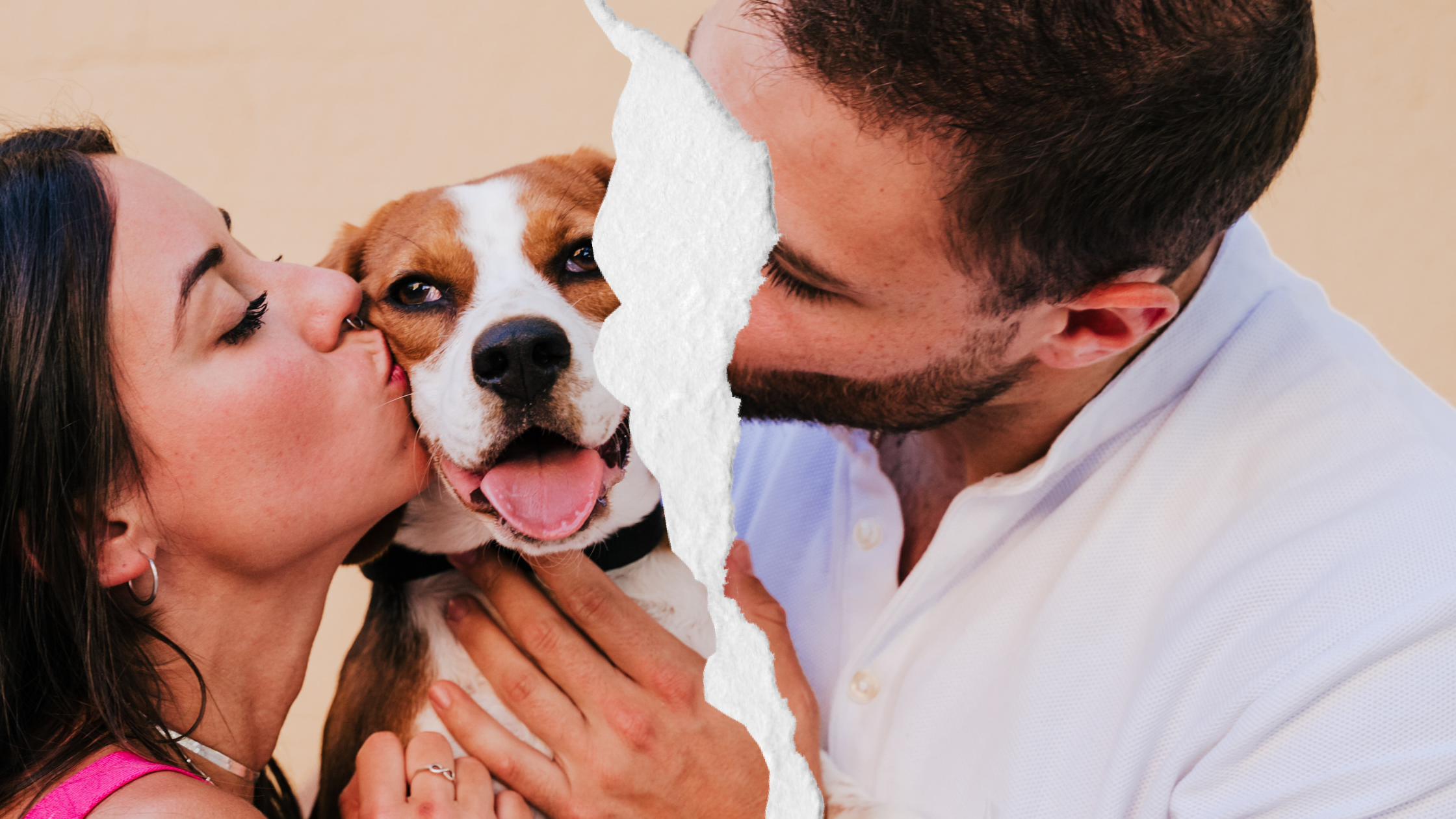 Sharing Your Pet with an Ex: Questions to Discuss Before a Pet Emergency