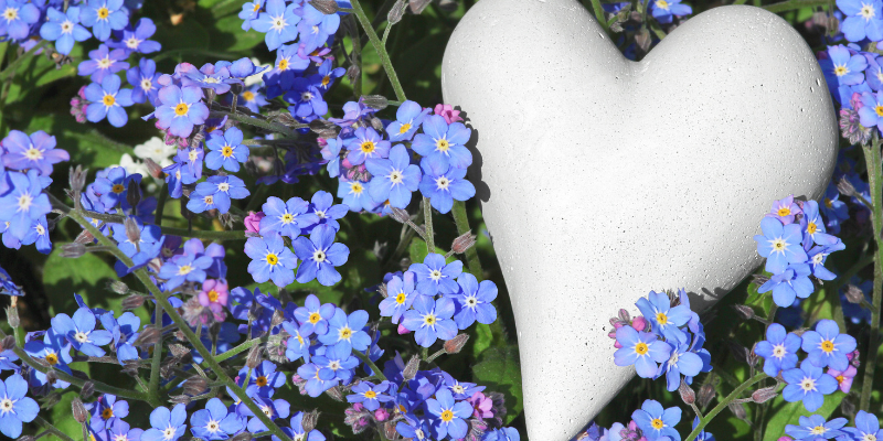 pet loss, pet memorial, ways to memorialize your pet, pet memorial ideas, Pet Loss, Animal Emergency & Referral Center of Minnesota