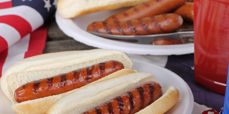 Fourth of July pet safety, Fourth of July pet dangers, pet health, pet hazards, pet safety, pet emergency, emergency vet, Animal Emergency & Referral Center of Minnesota, Minnesota emergency vet, Twin Cities emergency vet