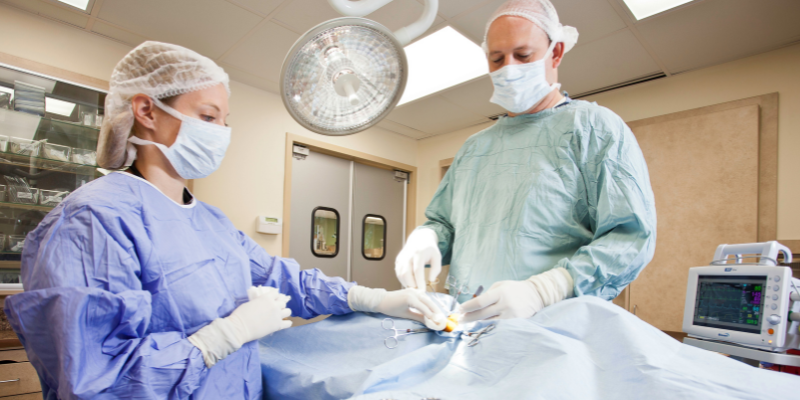 unusual foreign bodies, pet foreign bodies, pet surgery, Animal Emergency & Referral Center of Minnesota, pet emergency, Twin Cities emergency vet, Minnesota emergency vet