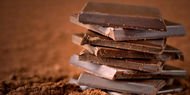 chocolate, pet toxins, fall toxins, fall pet toxins, autumn pet toxins, autumn pet safety, autumn pet hazards, pet health, pet safety, emergency vet, Minnesota emergency vet, Twin Cities emergency vet, Animal Emergency & Referral Center of Minnesota