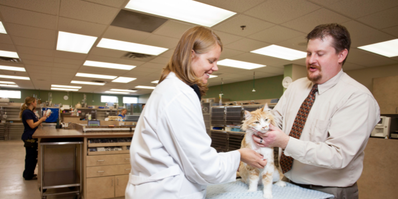 board-certified veterinary specialist, veterinary specialty services, Animal Emergency & Referral Center of Minnesota, Minnesota board-certified veterinarian, Twin Cities board-certified vet, specialty vet