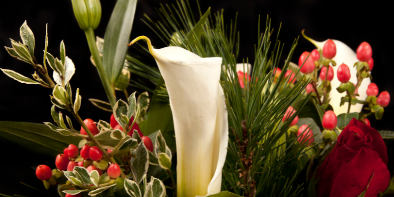 toxic flowers, lilies, toxic holiday flowers, holiday pet dangers, Christmas pet dangers, holiday pet toxins, Christmas pet toxins, pet emergency, pet health, pet safety, Animal Emergency & Referral Center of Minnesota, Twin Cities emergency vet, Minnesota emergency vet