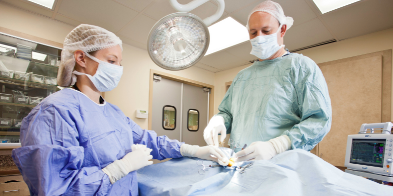 veterinarians, veterinarians are human, veterinary love, veterinary professionals, veterinary industry, not one more vet, veterinary care, Animal Emergency & Referral Center of Minnesota