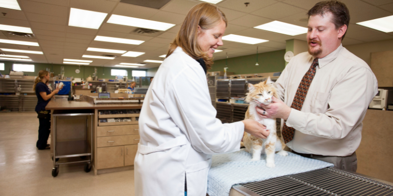veterinarians, veterinarians are human, veterinary love, veterinary professionals, veterinary industry, not one more vet, veterinary care, Animal Emergency & Referral Center of Minnesota