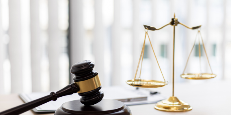 veterinary, veterinary medicine, veterinarian, pet health, pet care, pet owners, Supreme Court, veterinary medicine laws, Animal Emergency & Referral Center of Minnesota