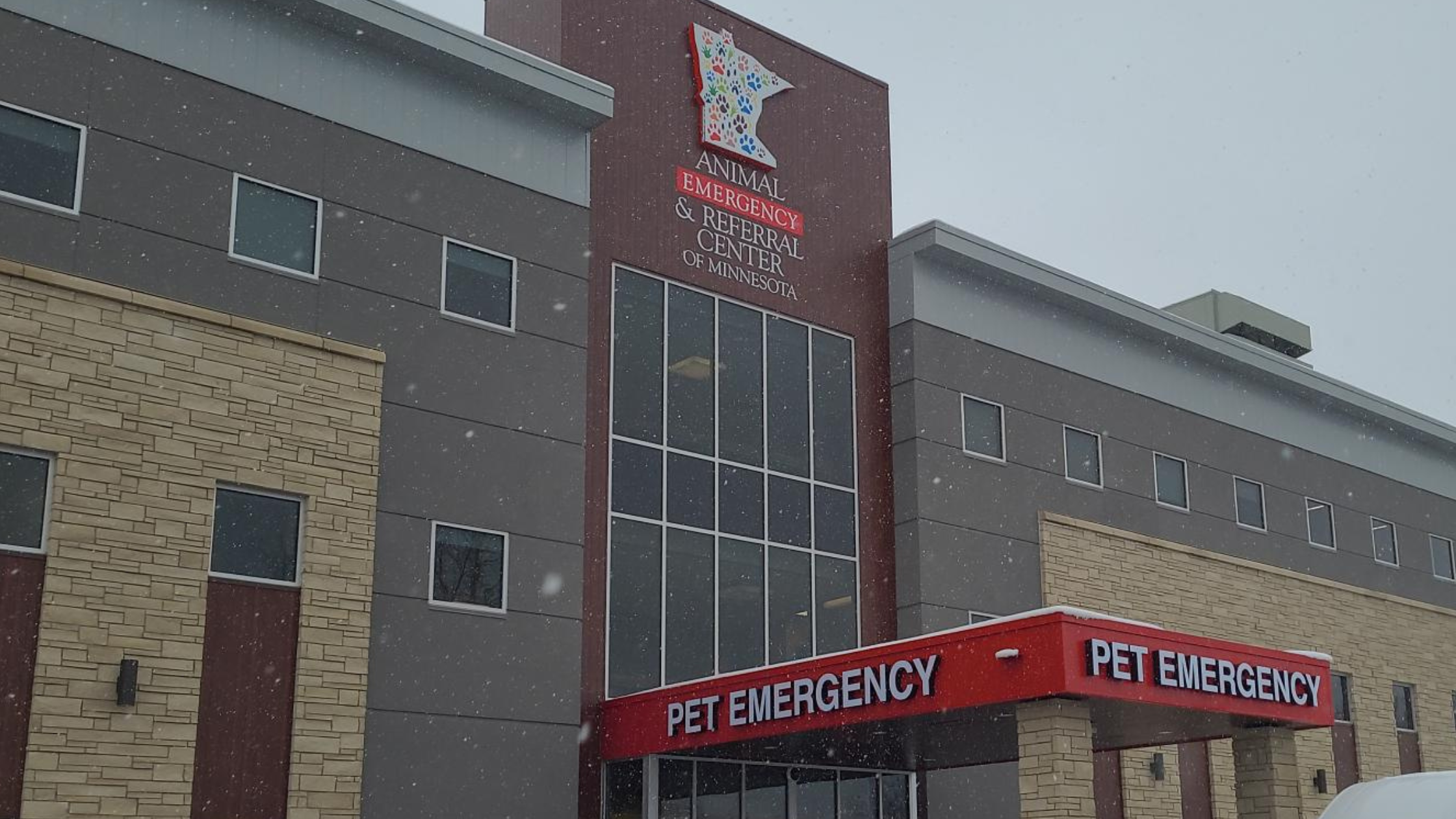 Top 10 Reasons For Veterinary Emergency Room Visits