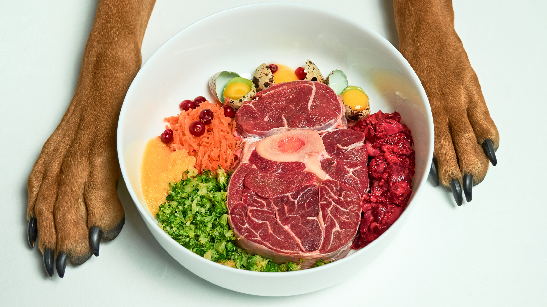 Get the Skinny on Raw Food Diets