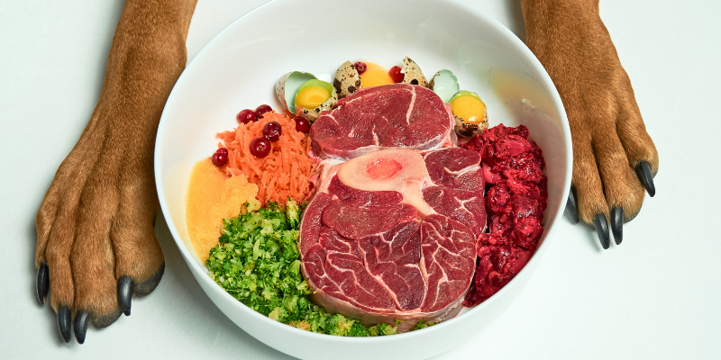 Raw food diets, dog raw food diet, veterinary, emergency vet, Animal Emergency & Referral Center of Minnesota