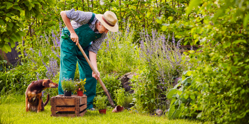 dog, dog owner, garden, gardening, fertilizers, spring pet hazards, spring pet toxins, spring pet dangers, Animal Emergency & Referral Center of Minnesota, Saint Paul emergency vet, Twin Cities emergency vet, Oakdale emergency vet