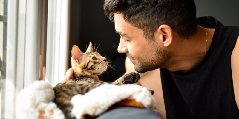 man, cat, pet sitting, pet sitter, pet emergency, preparing pet sitter for emergency, prepare for the worst, pet sitting tips, pet sitter tips, pet owners, pet emergency, pet emergency plan, Animal Emergency & Referral Center of Minnesota, Twin Cities emergency vet, Minnesota emergency vet