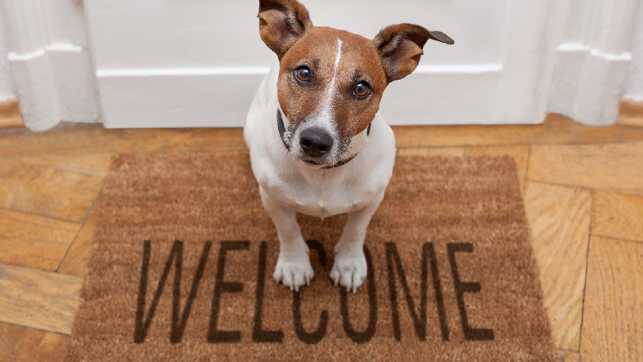 Hope for the Best, Prepare for the Worst