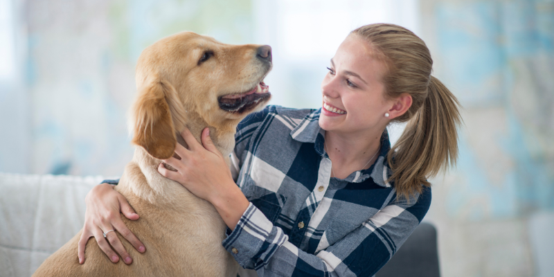 Are You Ready to Own a Dog?