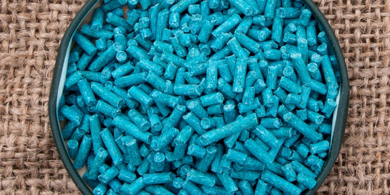 rat poison, mouse poison, pet toxins, pet emergency, Animal Emergency & Referral Center of Minnesota, fall pet toxins, autumn pet toxins, autumn pet dangers, fall pet dangers