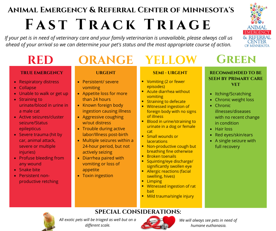 Animal Emergency & Referral Center of Minnesota, Fast Track Triage, color-coded triage system, pet emergency, Twin Cities emergency vet, Minnesota emergency vet, Saint Paul emergency vet, Oakdale emergency vet