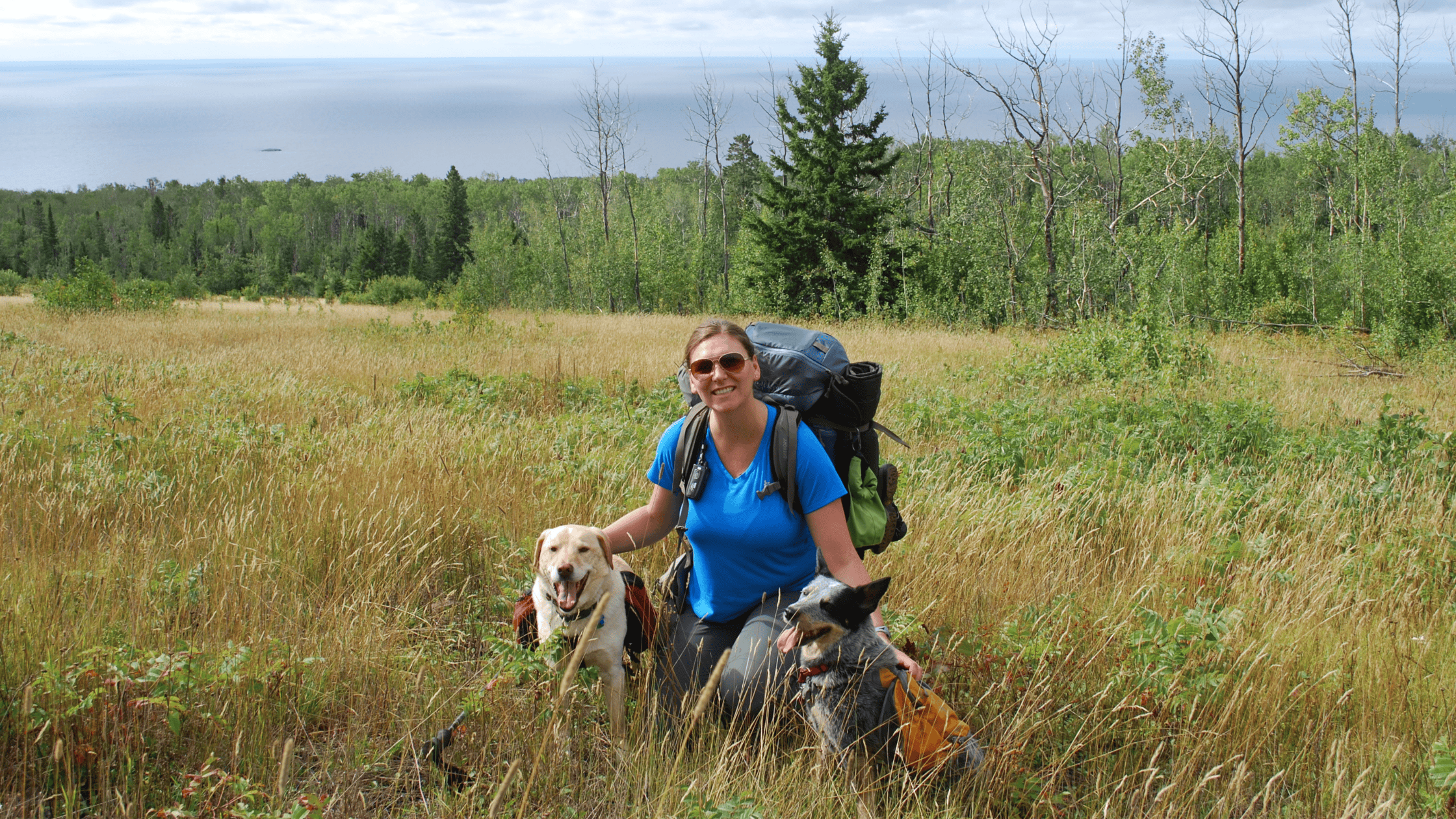 Camping and Hiking with Your Dog Part II: Safety Tips