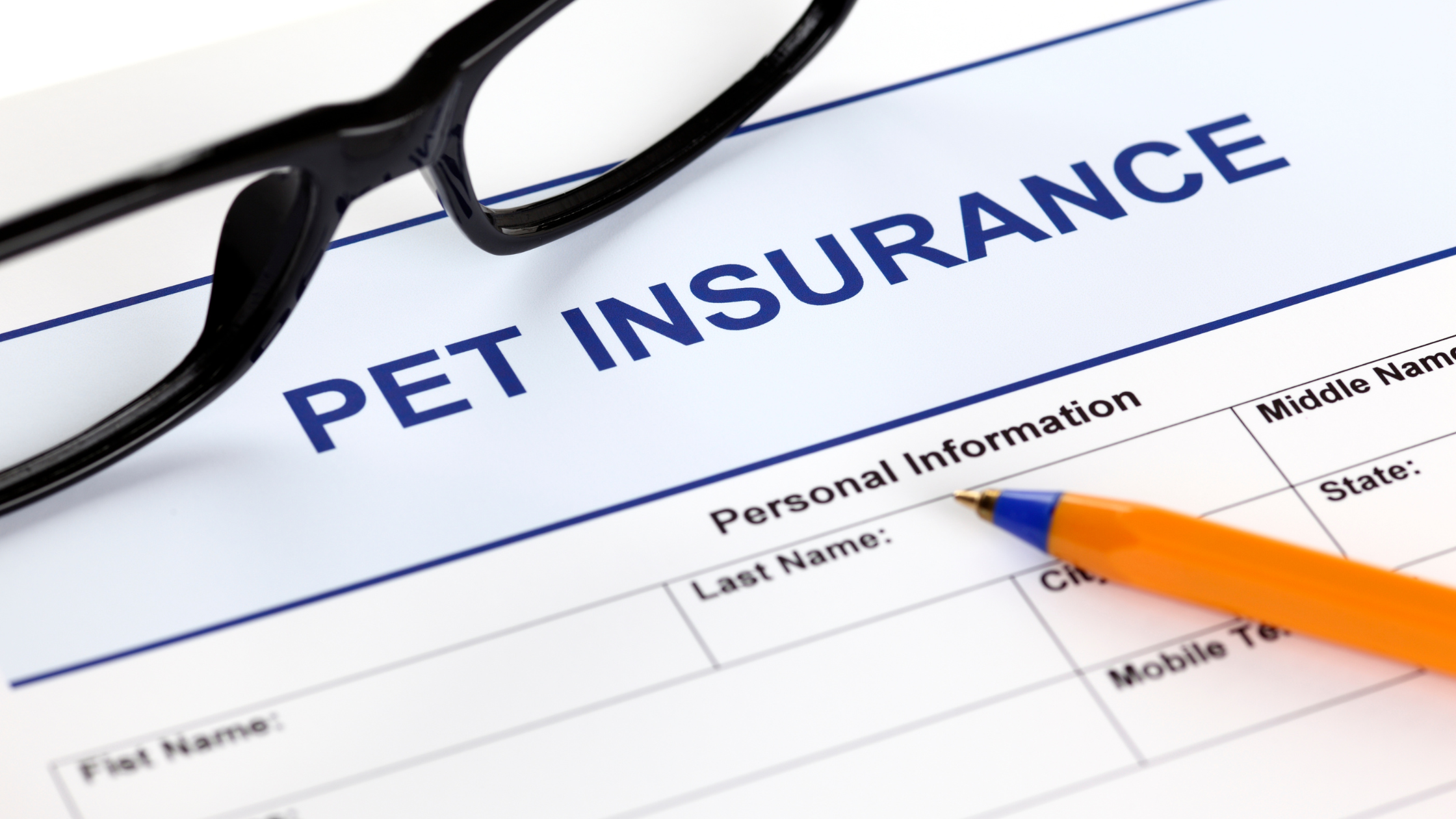 Should I Get Pet Insurance for My Pet?