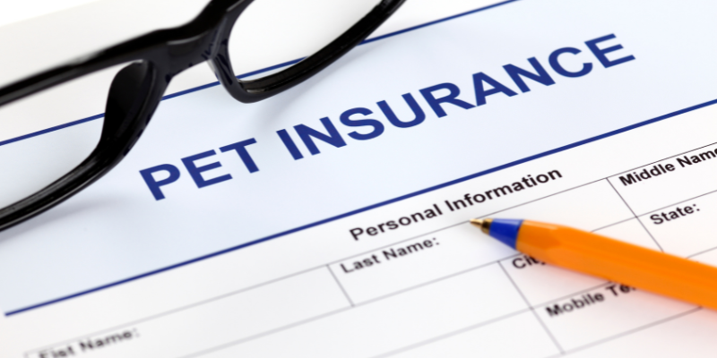 pet insurance, pets, pet owners, pet parents, veterinary, emergency vet, veterinary referral center, Twin Cities emergency vet, Minnesota emergency vet, Animal Emergency & Referral Center of Minnesota