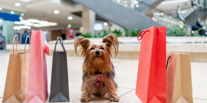 holiday shopping, shopping with dogs, shopping with pets, pet-friendly stores, Animal Emergency & Referral Center of Minnesota