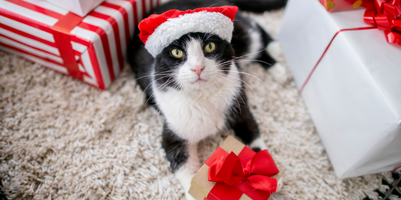 gift guide, holiday gifts, pet lovers, cat lovers, dog lovers, Christmas gifts for cat lovers, Christmas gifts for dog lovers, holidays, Christmas gift guide