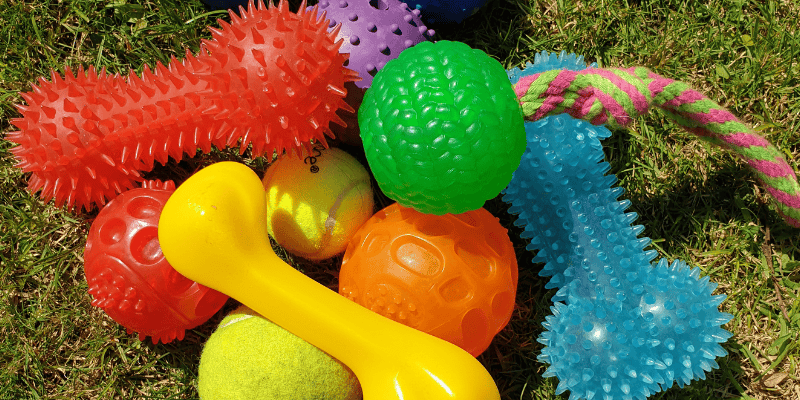 spring cleaning, pet owners, pet cleaning, pet inventory, pet health, pet safety, Animal Emergency & Referral Center of Minnesota