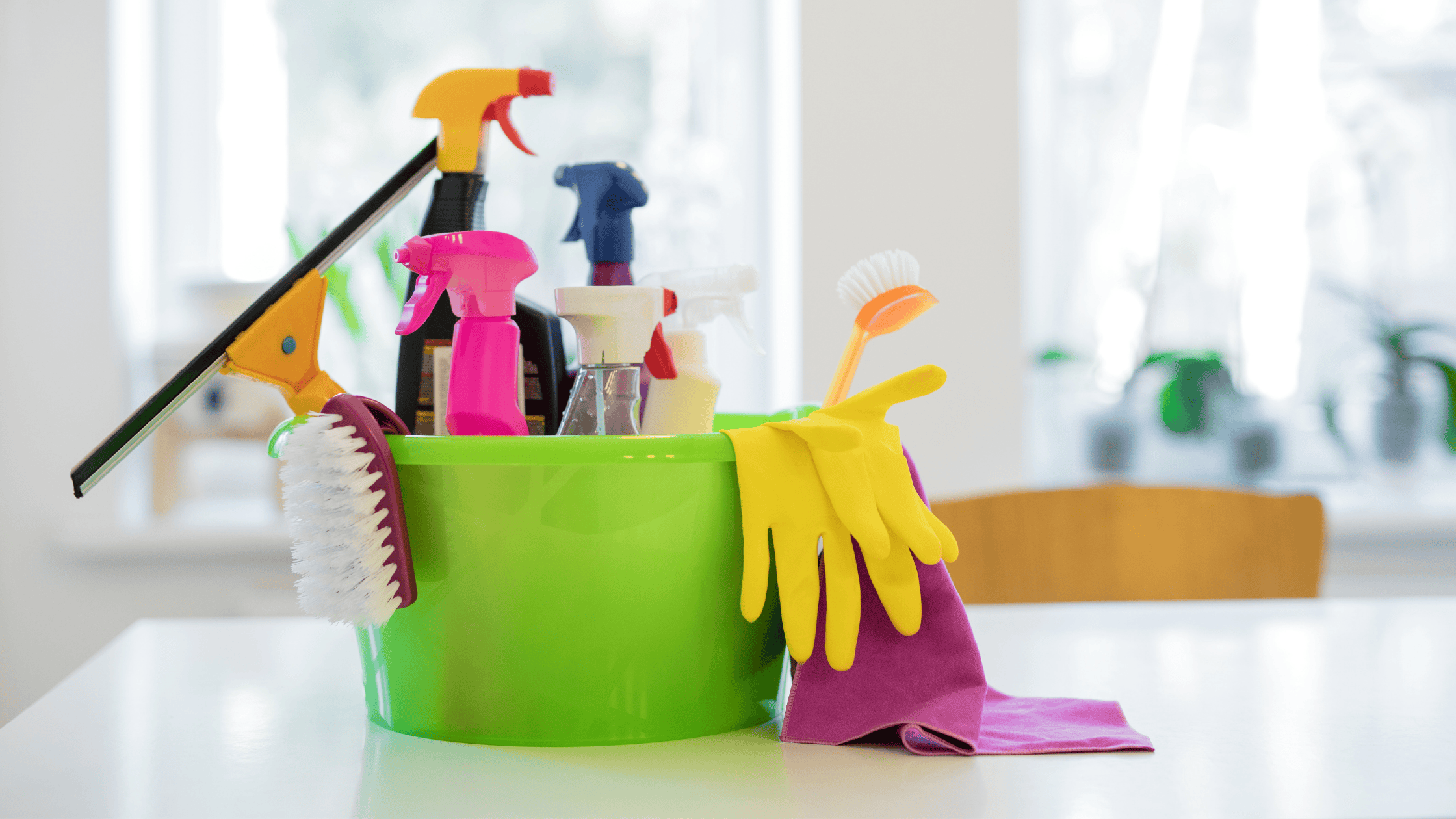 Spring Cleaning Part I: Keeping Your Pets Safe