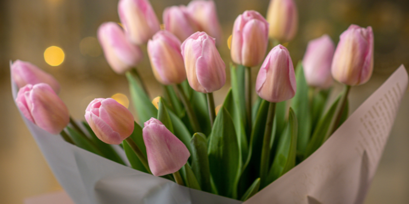 toxic flowers, pet toxins, spring pet toxins, toxic plants to pets, pet health, emergency vet, Minnesota emergency vet, Twin Cities emergency vet, Animal Emergency & Referral Center of Minnesota