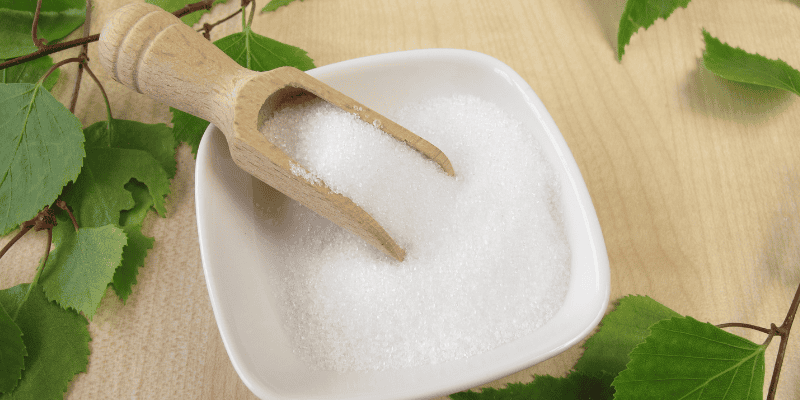 xylitol, picnic, picnic pet toxins, picnic pet hazards, picnic pet dangers, summer pet toxins, summer pet hazards, human food toxins, Animal Emergency & Referral Center of Minnesota, Twin Cities emergency vet, Minnesota emergency vet, pet health, pet safety