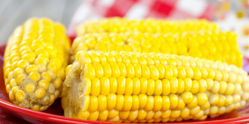 corn on the cob, picnic, picnic pet toxins, picnic pet hazards, picnic pet dangers, summer pet toxins, summer pet hazards, human food toxins, Animal Emergency & Referral Center of Minnesota, Twin Cities emergency vet, Minnesota emergency vet, pet health, pet safety