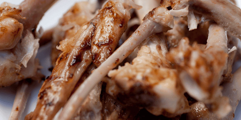 meat bones, picnic, picnic pet toxins, picnic pet hazards, picnic pet dangers, summer pet toxins, summer pet hazards, human food toxins, Animal Emergency & Referral Center of Minnesota, Twin Cities emergency vet, Minnesota emergency vet, pet health, pet safety